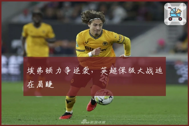 埃弗顿力争逆袭，英超保级大战迫在眉睫