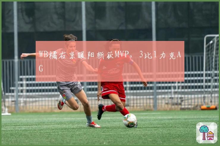 WB橘右京暖阳斩获MVP，3比1力克AG